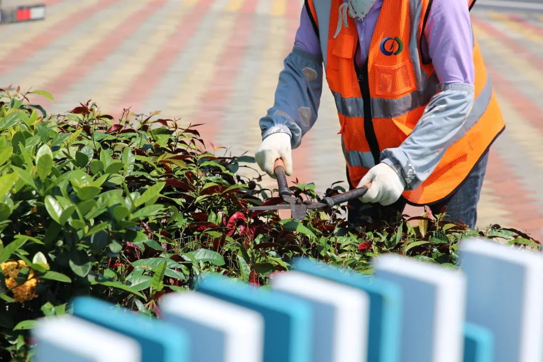 1676277534715324.jpg 微信圖片_20230213162408.jpg