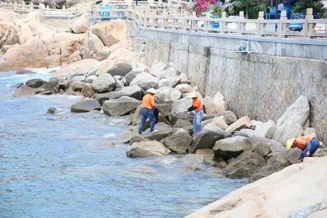 1685951054559546.jpg 10.jpg