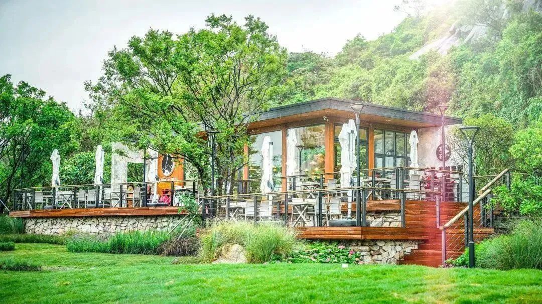 1688008970316799.jpg 10.jpg