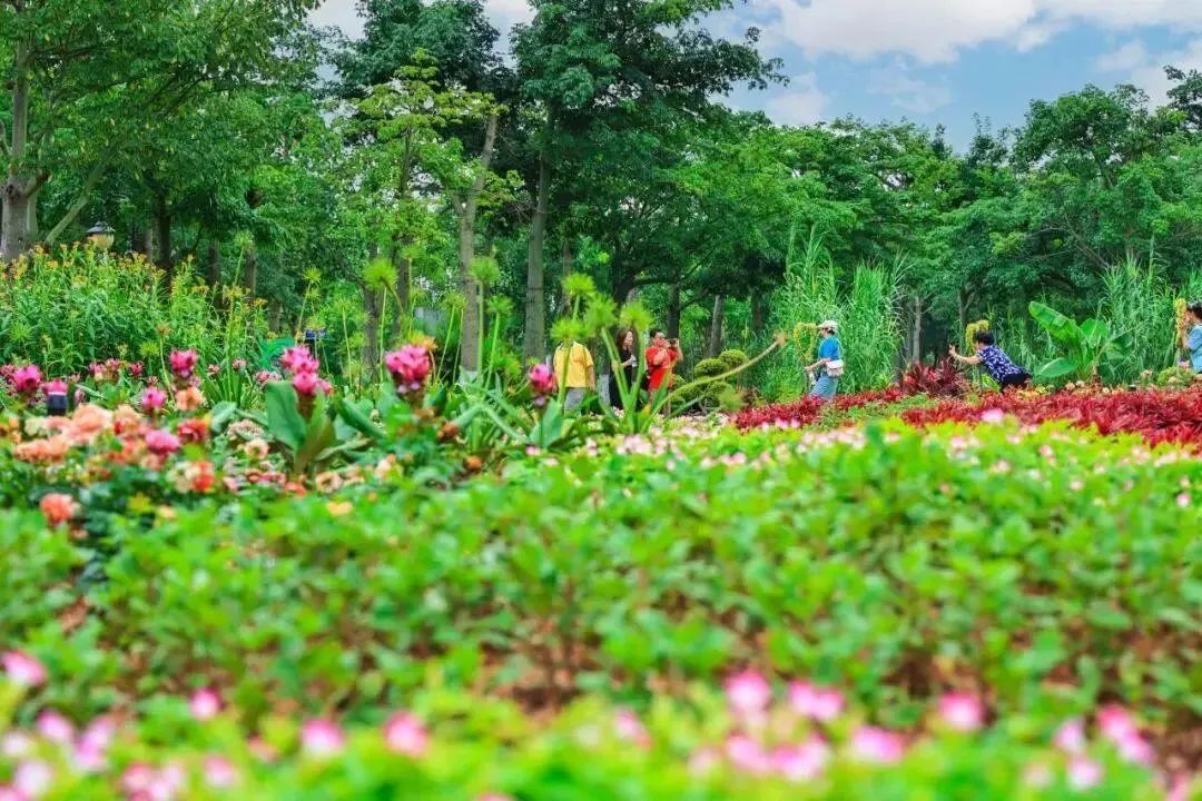 1688097904623242.jpg 2.jpg