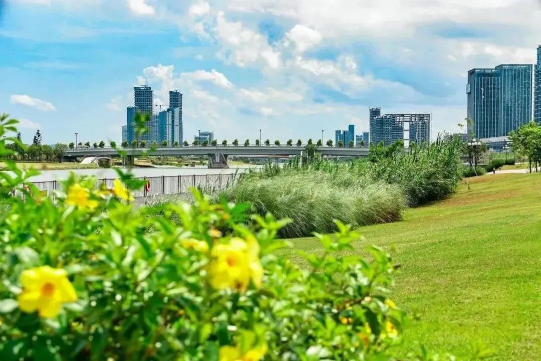 1688098123366544.jpg 14.jpg