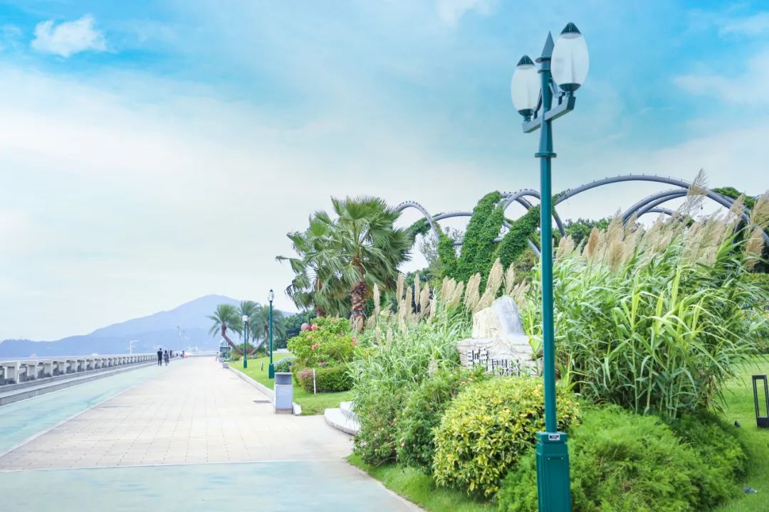 1700553822624182.jpg 5.jpg