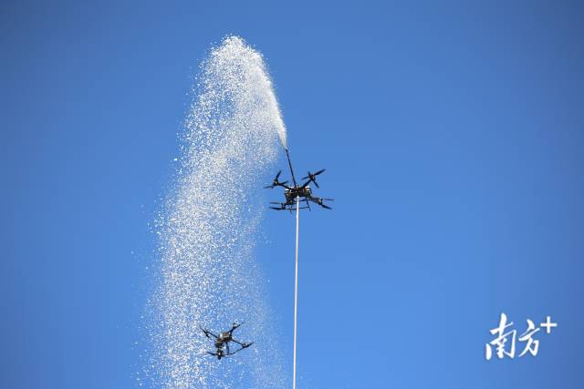 1701055932609258.jpg 2.jpg