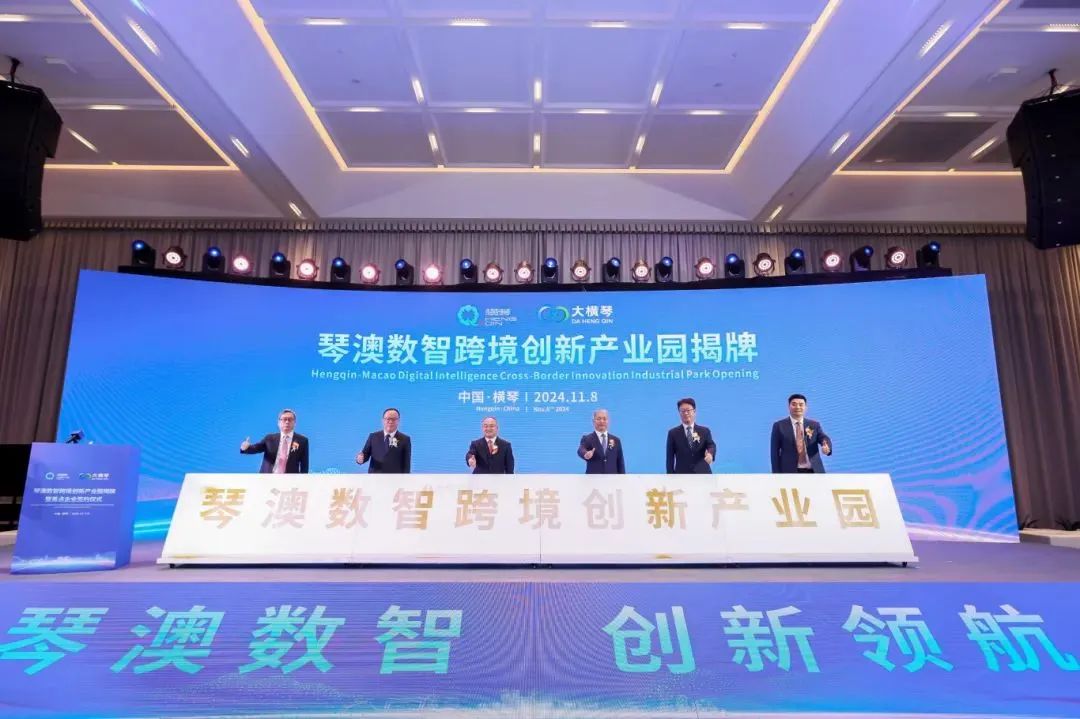 1735111404645143.jpg 17.jpg