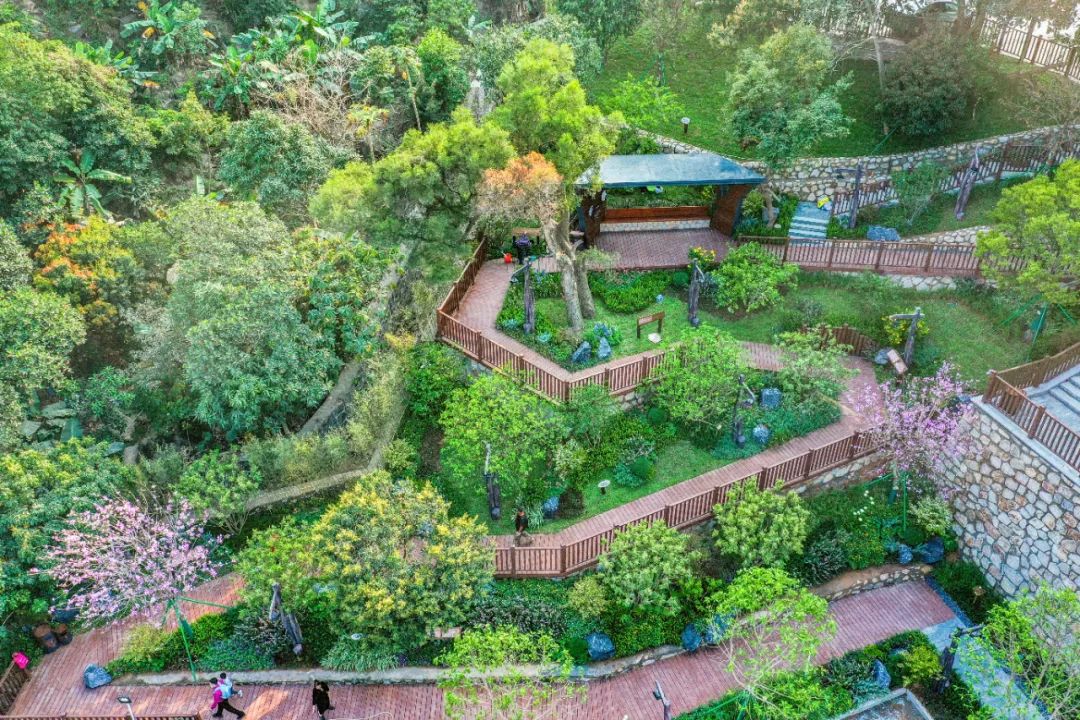 1735803591674198.jpg 3.jpg