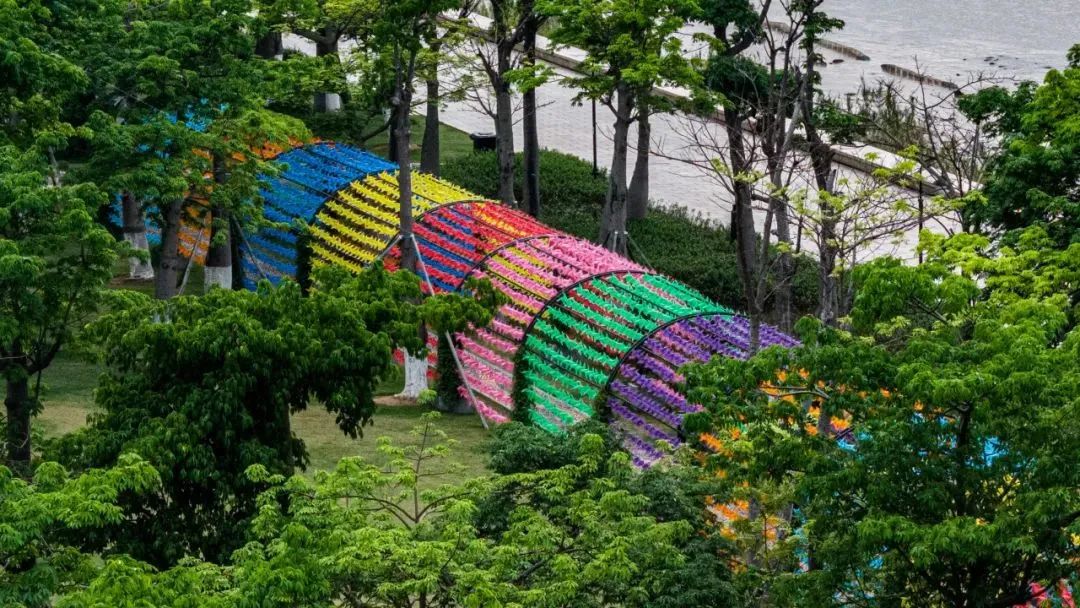 1747295052112328.jpg 8.jpg