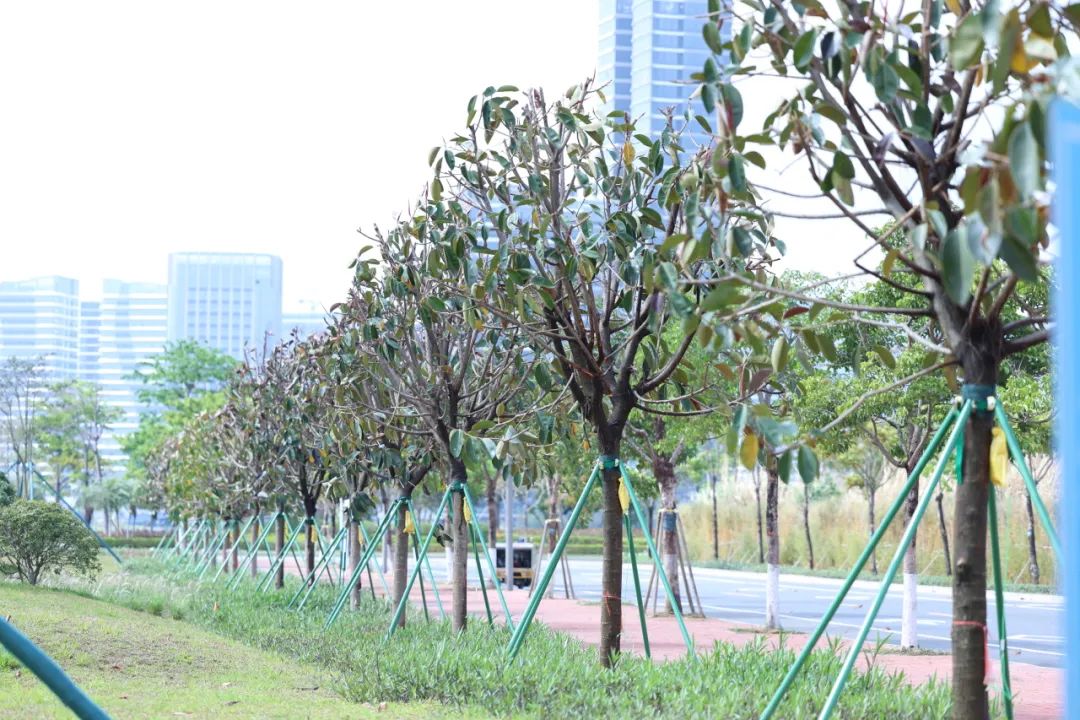 1747296884500885.jpg 21.jpg